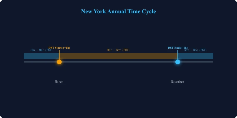 New York Annual Time Cycle showing clock transitions